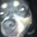 traphouse Discord Server Banner