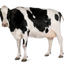 The Milk Army Discord Server Banner