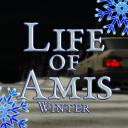 Life Of Amis Discord Server Banner