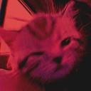 Guild blood Discord Server Banner