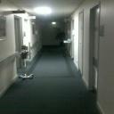 Allicastor Research Institute Discord Server Banner