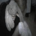 SicklyAngel Discord Server Banner