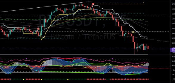 Easy Money with Market LIberator