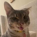 arab cafe عرب كافيه Discord Server Banner