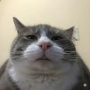 moe Discord Server Banner