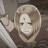 Anime and etc Icon