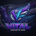 Vital esports Discord Server Banner