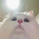 Join pretty please Icon