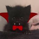 Dracay Discord Server Banner