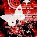 سيرفر الملجأ Discord Server Banner