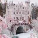 🌸IVY IN BLOOM 🌸 Discord Server Banner