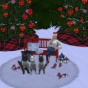 Paws & Whiskers Sims Discord Server Banner