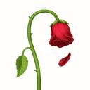 The Hopeless Legends Discord Server Banner