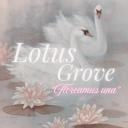 𖥸 · 𝑳𝑶𝑻𝑼𝑺 𝑮𝑹𝑶𝑽𝑬 · 𖥸 Discord Server Banner