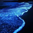 𝓑𝓵𝓾𝓮 𝓒𝓱𝓻𝓸𝓷𝓲𝓬𝓵𝓮𝓼 Discord Server Banner