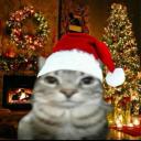 Certified HS Discord Server Banner