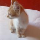 Get owned by me Discord Server Banner