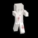 nac smp Discord Server Banner
