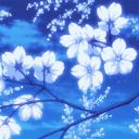 Aura Discord Server Banner