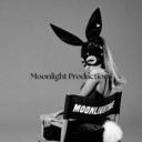 Moonlight Productions Discord Server Banner