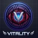 Vitality Discord Server Banner