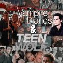 Vampires Teen Diaries Wolf Discord Server Banner