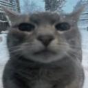 looking for boyfriend !! Discord Server Banner