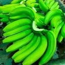 Green Bananas Discord Server Banner