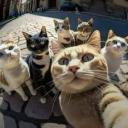 billa gang Discord Server Banner