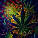weed and psychedelic community Discord Server Banner