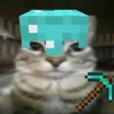 Everyone Discord Server Banner