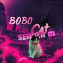 @imbobocat | Cat Server Discord Server Banner