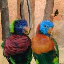 KitKat Discord Server Banner