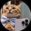 Pontus PYA Discord Server Banner
