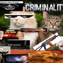 Crim Modded (Skidding Nality) Discord Server Banner