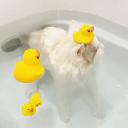 House do hospício Discord Server Banner