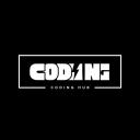 Coding Hub Discord Server Banner