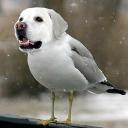 BM Server Discord Server Banner