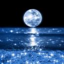 🌙The Moonlight Sanctuary🌙 Discord Server Banner