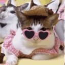 Morning Glory Discord Server Banner