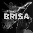 BRISA Discord Server Banner