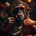 Trademonkey Discord Server Banner