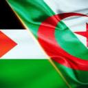 Algerian commuinty مجتمع جزائري Discord Server Banner