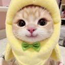 Moon Cafe Discord Server Banner