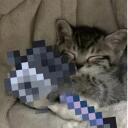Xyn Club Discord Server Banner