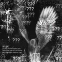 FEET HAVEN Discord Server Banner