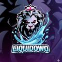 LIQUIDOWO Discord Server Banner