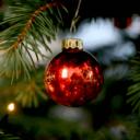 Cider Discord Server Banner