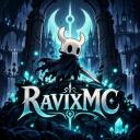 RavixNetwork Discord Server Banner