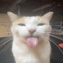 Koola Kisse Klubben Discord Server Banner